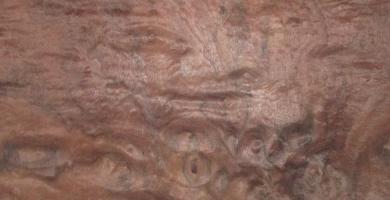 Walnut Burl veneer