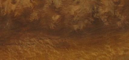 Walnut (Black Walnut) veneer