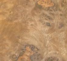 Walnut Burl veneer