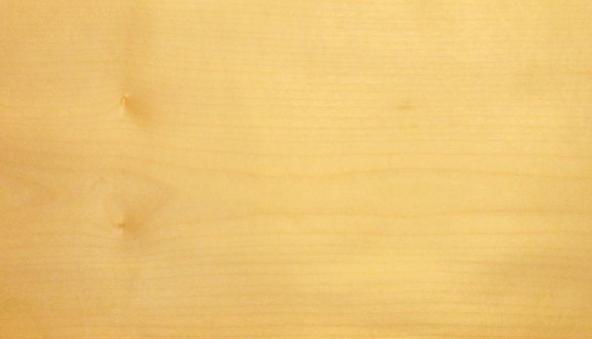 Sycomore (europ. Maple) veneer