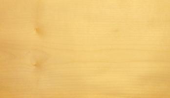 Sycomore (europ. Maple) veneer