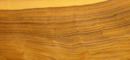 Rosewood Santos veneer