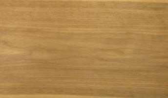 Walnut (Black Walnut) veneer