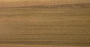 Walnut (Black Walnut) veneer