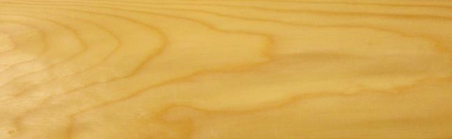 Spruce veneer