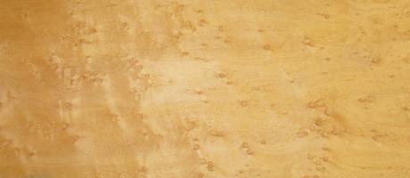 Maple (Bird´s Eye Maple) veneer
