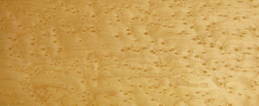 Maple (Bird´s Eye Maple) veneer