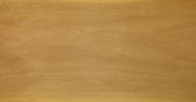 Walnut europ. Sapwood veneer