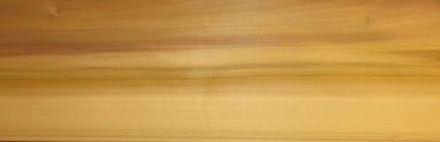 Tulipier veneer