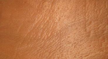 Mahogani Pommele veneer