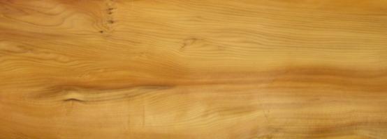 Yew - tree veneer