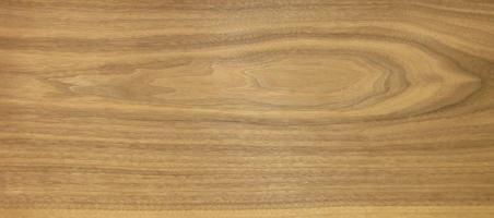 Walnut (Black Walnut) veneer