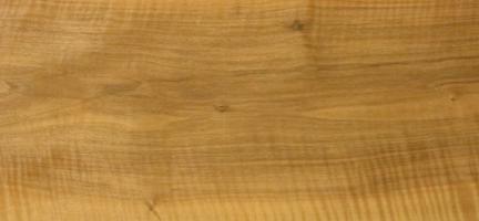 Walnut europ. veneer