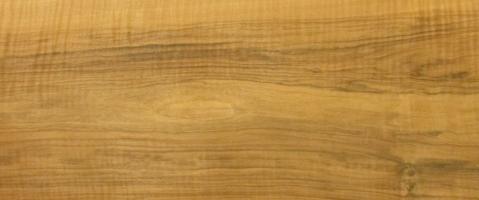 Walnut europ. veneer
