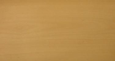 Beech veneer