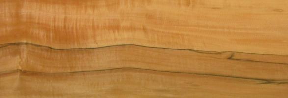 Tineo veneer