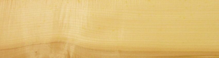 Sycomore (europ. Maple) brown heart veneer