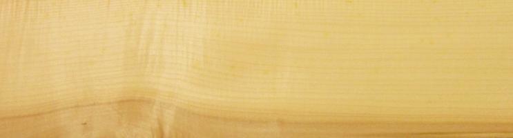 Sycomore (europ. Maple) brown heart veneer