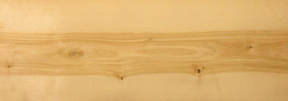 Birch Knotty veneer