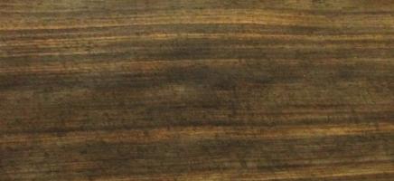 Ebony (Makassar) veneer