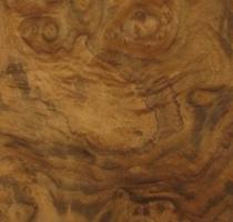 Walnut Burl veneer