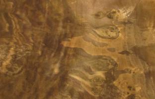 Walnut Burl veneer