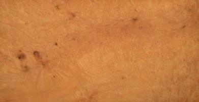 Madrona Burl veneer