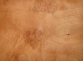Madrona Burl veneer