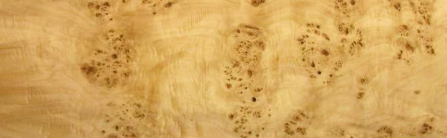 Poplar Burl veneer