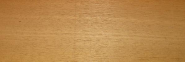 Walnut europ. Sapwood veneer