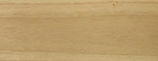 Paulownia veneer