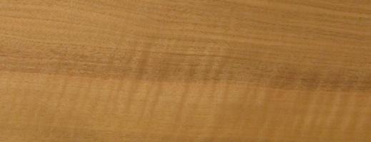 Walnut europ.figured veneer