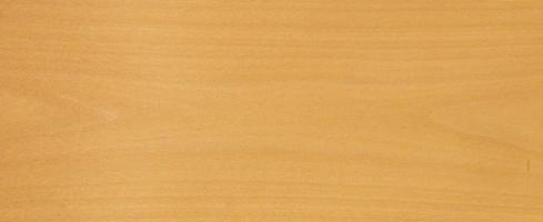 Beech veneer