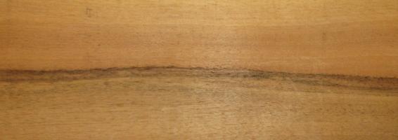 Walnut europ. veneer