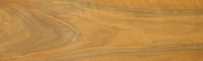 Walnut europ. veneer