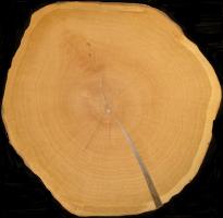 Oak cross-grained veneer veneer