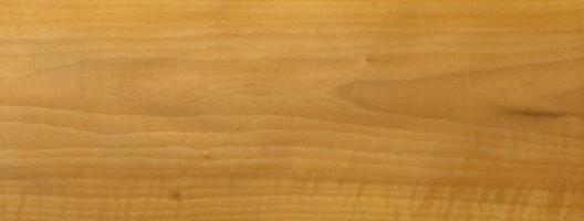 Walnut europ. Sapwood veneer