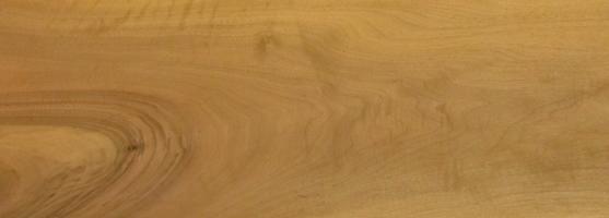 Walnut europ. veneer