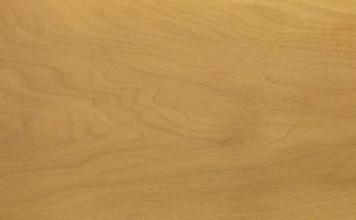 Walnut europ. Sapwood veneer