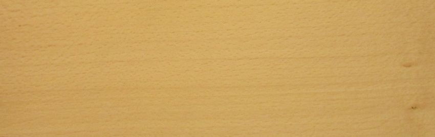 Beech veneer