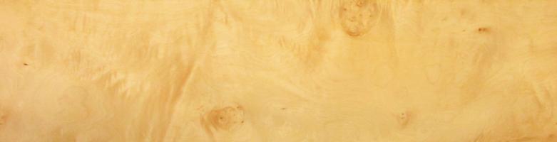 Sycomore Burl