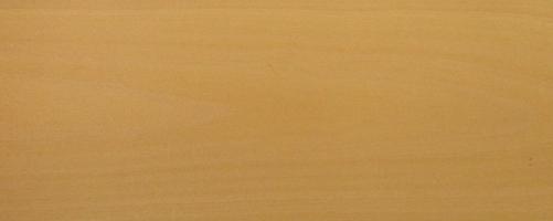 Beech veneer