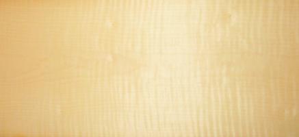 Sycomore figured veneer