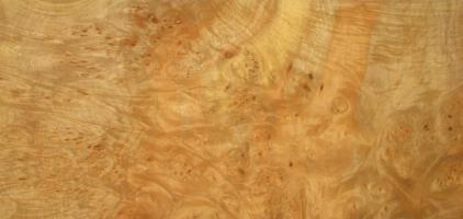 Sycomore Burl veneer