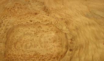 Kampfer Burl veneer