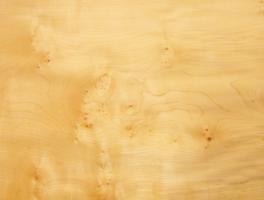 Sycomore Burl veneer