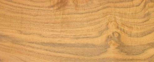 Walnut Burl veneer
