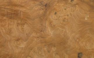 Walnut Burl veneer