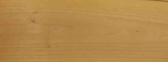 Walnut europ. Sapwood veneer