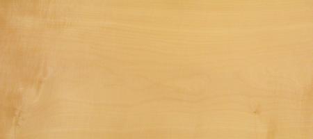 Sycomore (europ. Maple) veneer